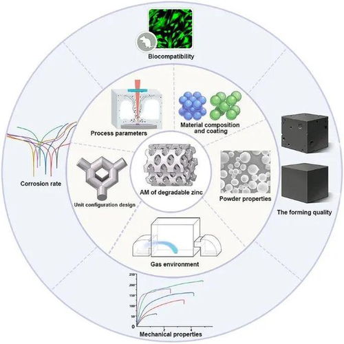 重慶大學(xué)l同濟(jì)大學(xué)l北京大學(xué)l增材制造鋅基生物材料的研究進(jìn)展